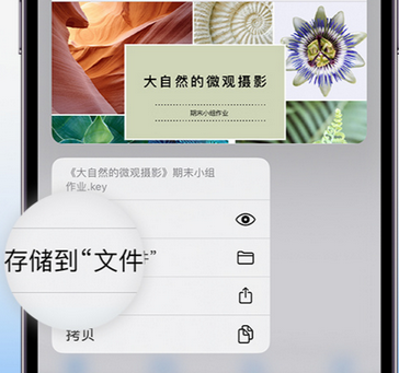 和硕apple维修中心分享iPhone文件应用中存储和找到下载文件