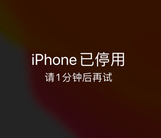 和硕苹果手机维修分享:iPhone 显示“不可用”或“已停用”怎么办？还能保留数据吗？ 