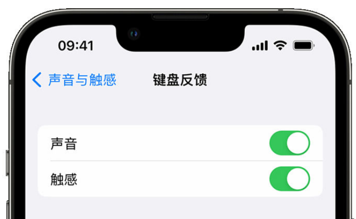 和硕苹果手机维修分享iPhone 14触感键盘使用方法 