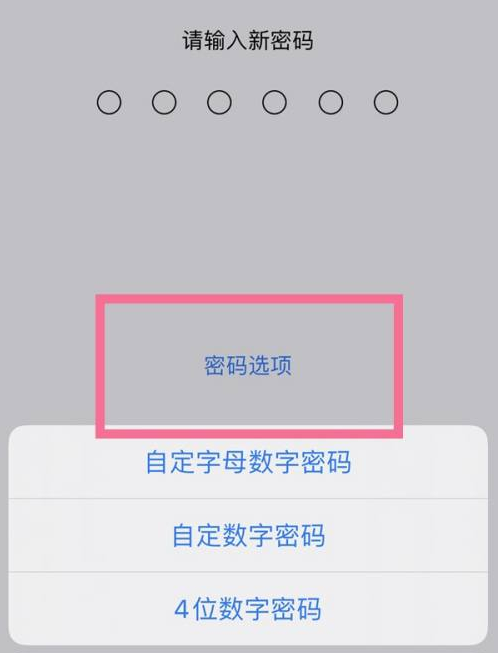 和硕苹果14维修分享iPhone 14plus设置密码的方法 