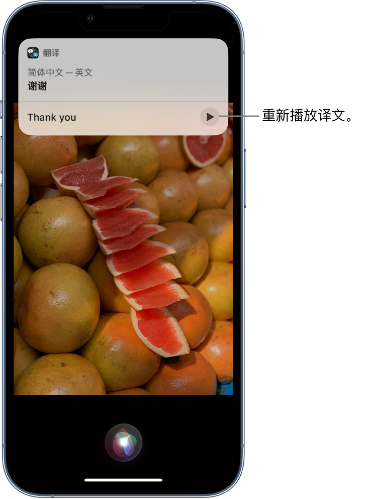 和硕苹果14维修分享 iPhone 14 机型中使用 Siri：了解 Siri 能帮你做什么 