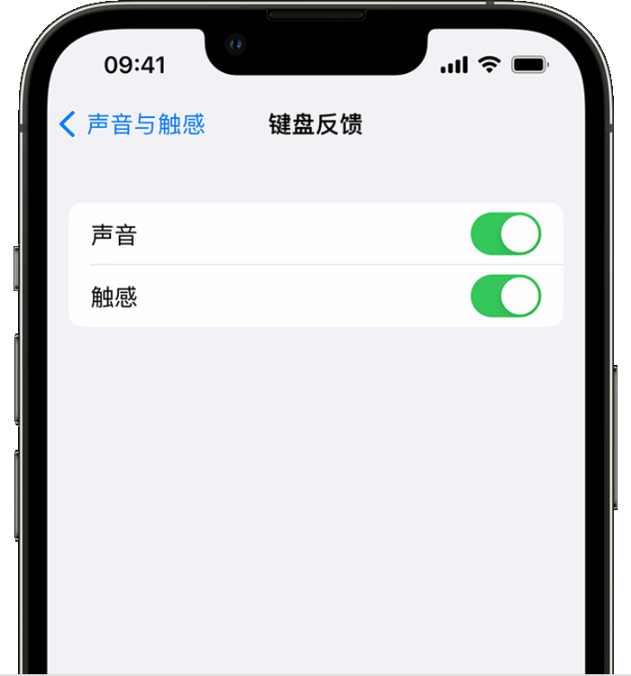 和硕苹果14维修分享iPhone 14 系列机型如何开启键盘声音或触感反馈 