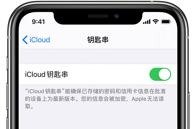 和硕苹果手机维修分享在 iPhone 上开启 iCloud 钥匙串之后会储存哪些信息 