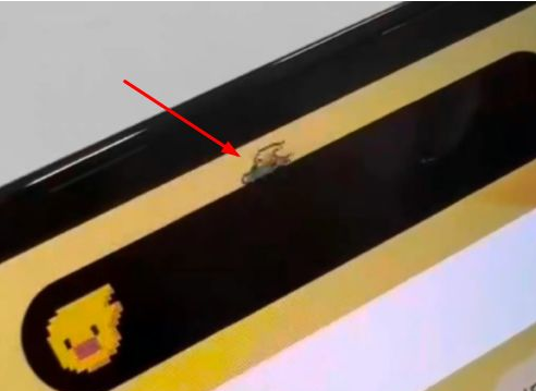 和硕苹果14维修分享iPhone 14 Pro Max灵动岛怎么养宠物 