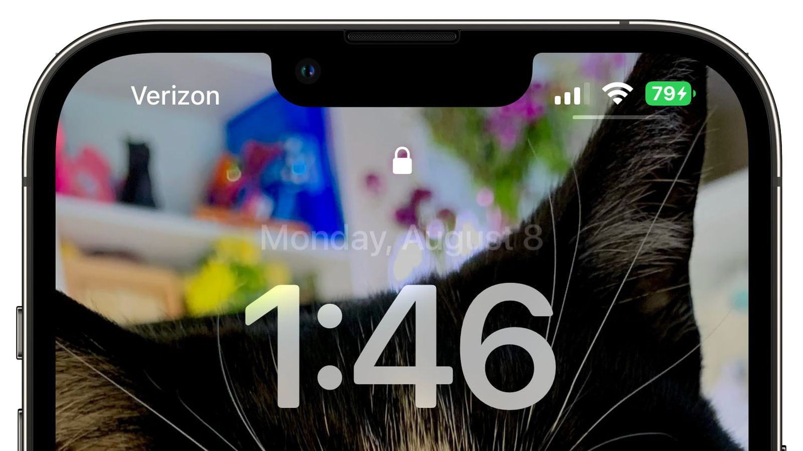 和硕苹果手机维修分享iOS 16 beta 5 支持状态栏显示电池百分比，如何开启？支持哪些机型 
