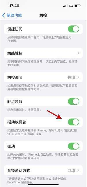 和硕苹果手机维修分享iPhone手机如何设置摇一摇删除文字 
