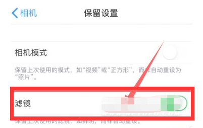 和硕苹果13维修分享iPhone13拍照有绿点是怎么回事 