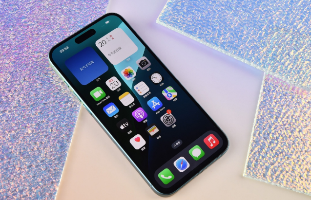和硕苹果手机维修分享为什么大家不喜欢苹果iPhone 16 Plus 