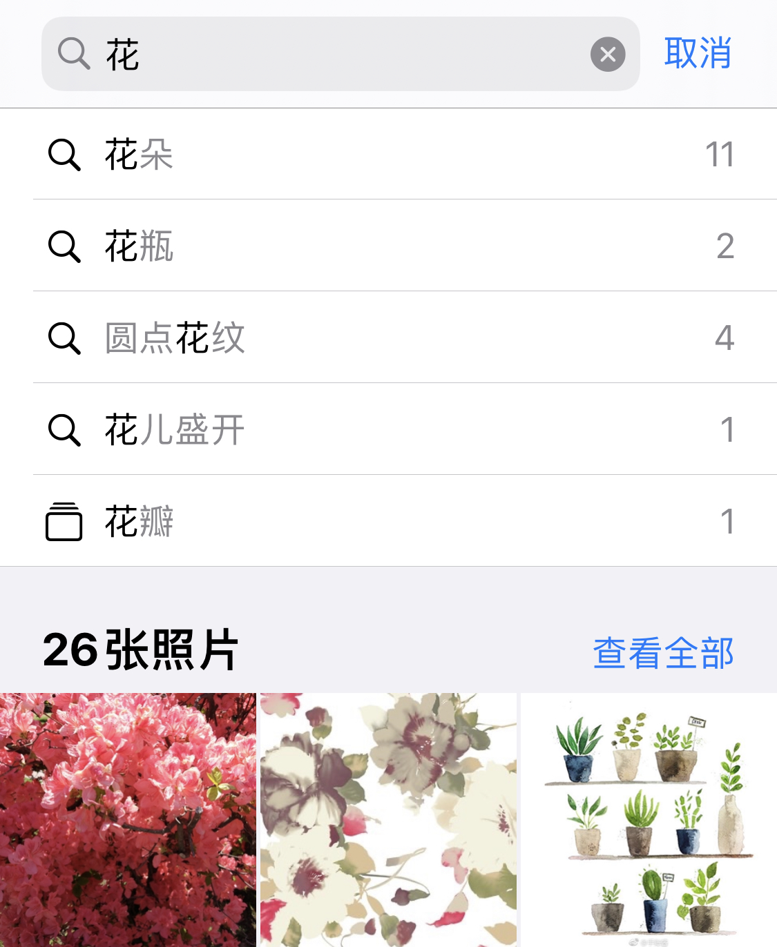 和硕苹果手机维修分享iPhone 小技巧 